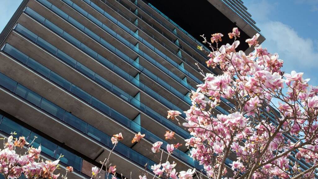 Fertig- und Musterhäuser zum Kauf Schnirchgasse 9 Wien(Stadt) 1030