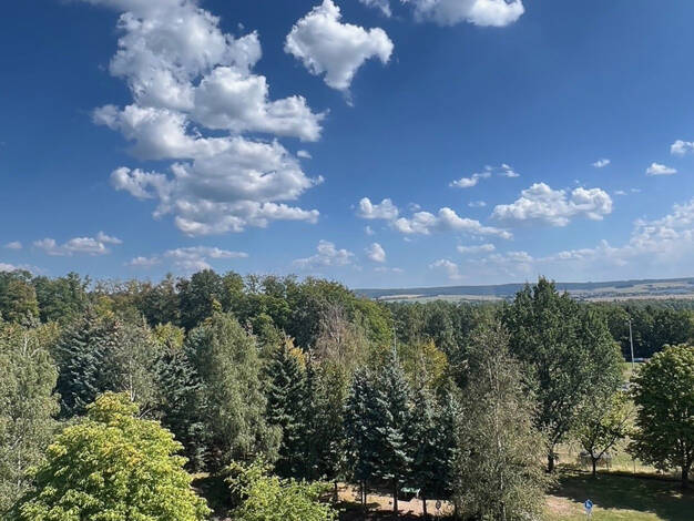 Wohnung zur Miete 330 € 3 Zimmer 57 m² 5. Geschoss Sallauminer Str. 16 Lugau Lugau/Erzgebirge 09385