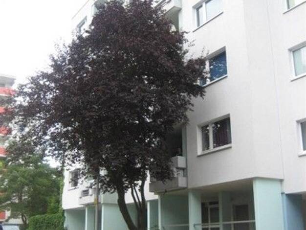 Wohnung zur Miete 873 € 3 Zimmer 76,6 m² 4. Geschoss frei ab 23.11.2025 Den-Haager-Straße 8 Heuchelhof Würzburg 97084