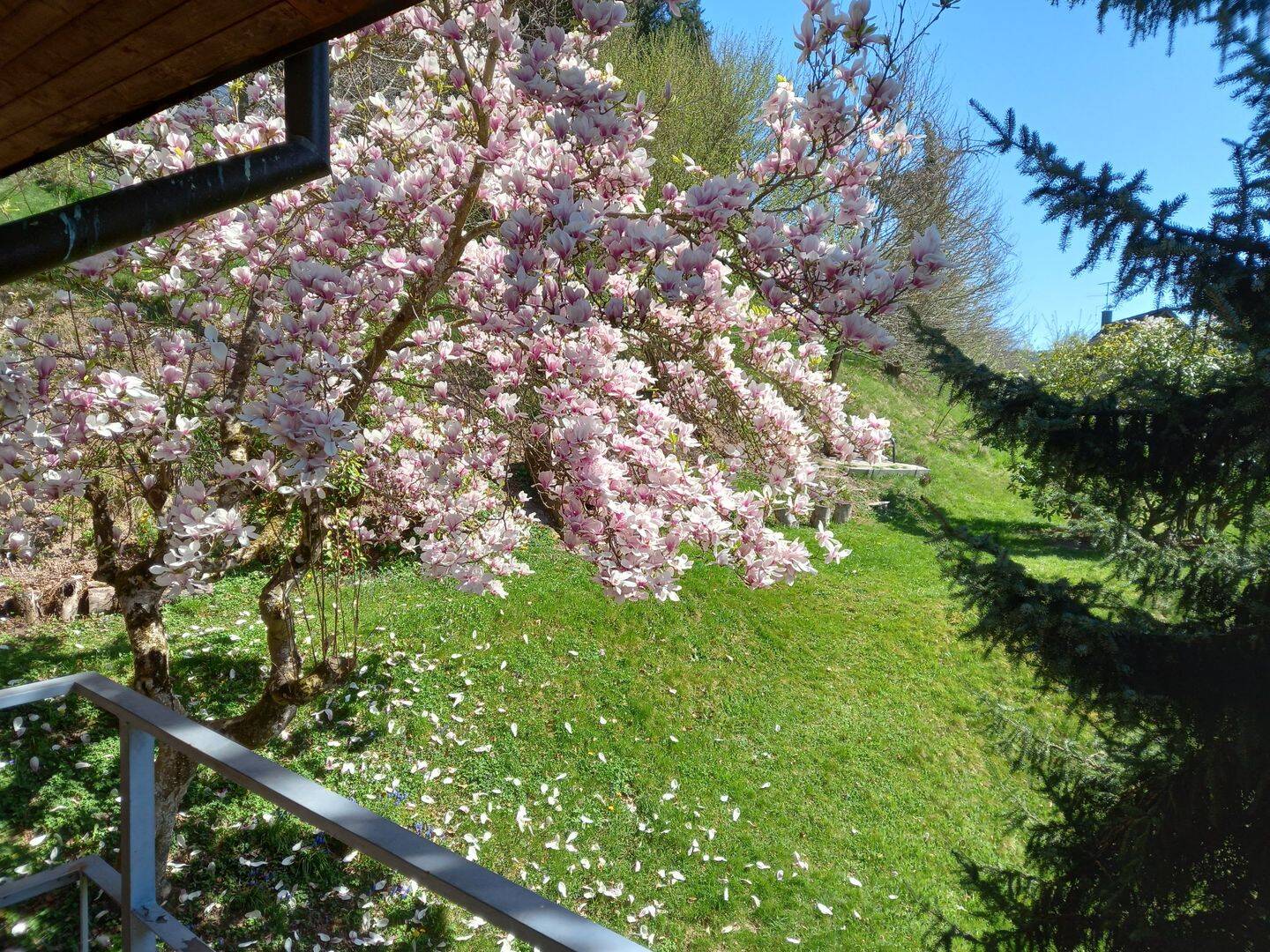 Haus – Steinen, Landkreis Lörrach - Ansicht 4