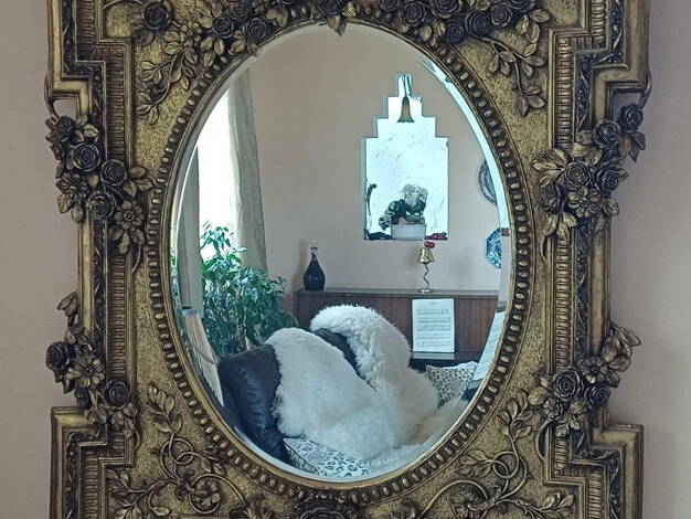 Einfamilienhaus zum Kauf provisionsfrei 2.550.000 € 14 Zimmer 390 m² 40.000 m² Grundstück Angelmodde Münster Wolbeck 48167