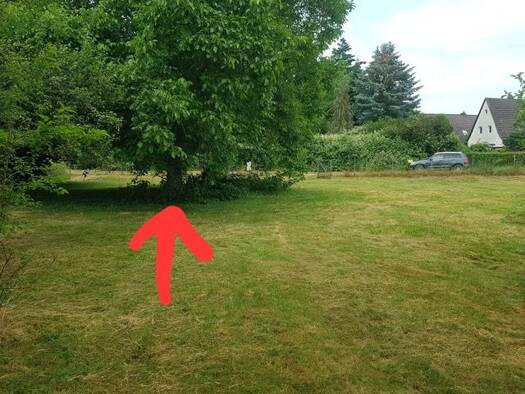 Grundstück zur Miete provisionsfrei 100 € 1.200 m² Grundstück frei ab sofort Lehndorf Braunschweig 38116