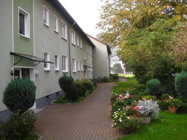 Wohnung zur Miete 655 € 4 Zimmer 67,4 m² frei ab 26.09.2026 Hohensteinstraße 4 b Langenbochum Herten 45701