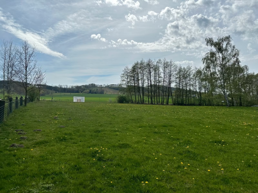 Grundstück zum Kauf 305.000 € 3.600 m² Grundstück Cunewalde 02733