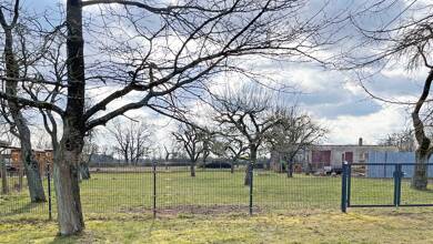 Grundstück zum Kauf 59.000 € 1.600 m² Grundstück Zernikow Großwoltersdorf 16775