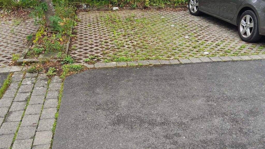 Außenstellplatz zur Miete 15 € Sigmund-Faber-Str. 2 a Hersbruck 91217