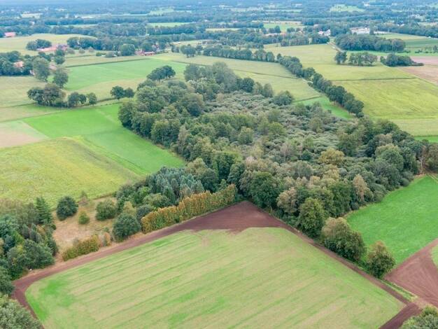 Land-/Forstwirtschaft zum Kauf 8.210 m² Grundstück Nordhorn Nordhorn 48527