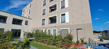 Wohnung zur Miete 850 € 1,5 Zimmer 56,5 m² EG frei ab 01.11.2024 Weisenau Mainz-Weisenau 55130