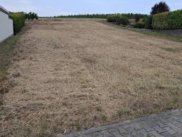 Grundstück zum Kauf provisionsfrei 165.000 € 550 m² Grundstück Schlimmsweide 31 Welgesheim 55576