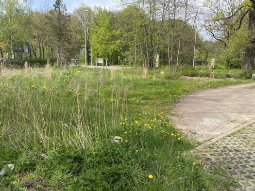 Gewerbegrundstück zur Miete provisionsfrei 2.500 € 1.330 m² Grundstück Leipziger Str. Schloßchemnitz Chemnitz 09113