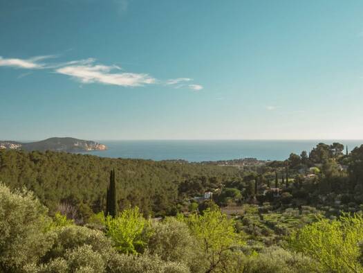 Einfamilienhaus zum Kauf 2.980.000 € 7 Zimmer 258,4 m² 4.000 m² Grundstück Saint André CEYRESTE 13600