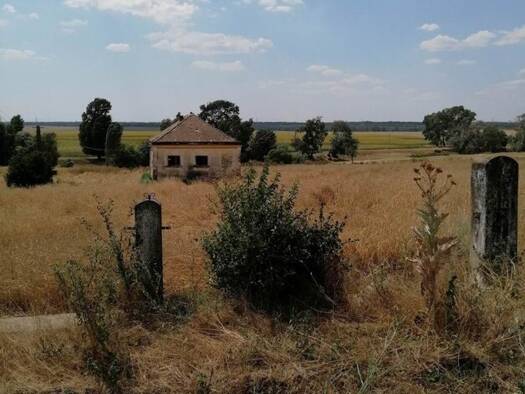 Grundstück zum Kauf 380.000 € 500.000 m² Grundstück Gurahont 317153