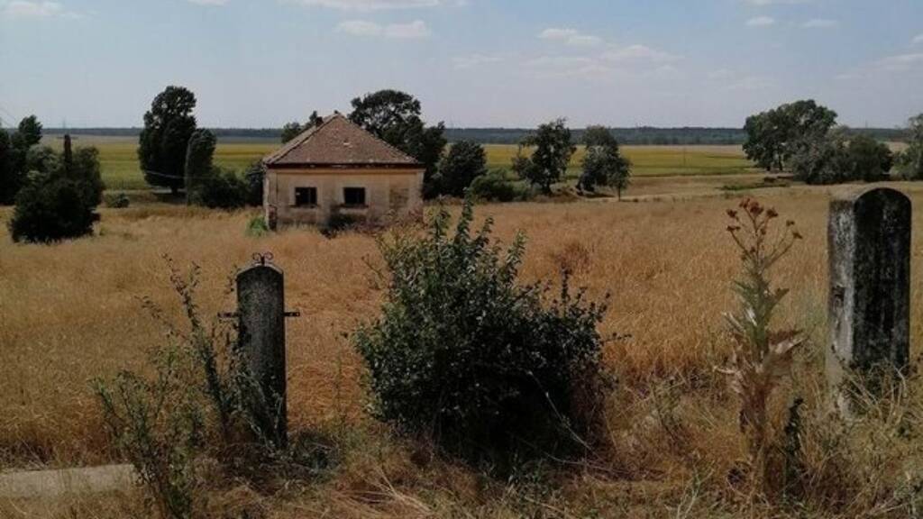 Grundstück zum Kauf 380.000 € 500.000 m² Grundstück Gurahont 317153