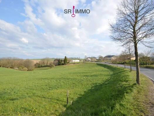 Grundstück zum Kauf 60.780 € 1.013 m² Grundstück Dauwelshausen 54673