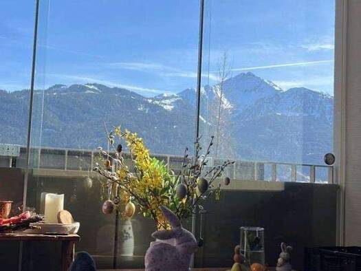 Wohnung zum Kauf 385.000 € 2 Zimmer 60 m² Bruckberg 5700