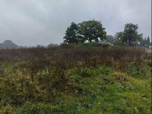 Grundstück zum Kauf provisionsfrei 700.000 € 2.125 m² Grundstück Scharmbeck Winsen (Luhe) 21423