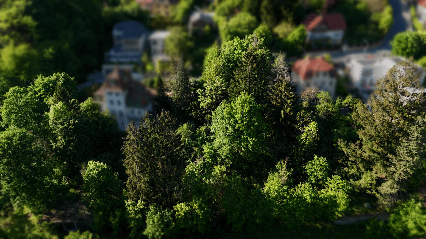 Grundstück zum Kauf - View 5