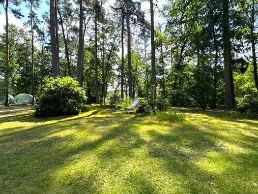 Grundstück zum Kauf 319.000 € 3.210 m² Grundstück Bienenbüttel Bienenbüttel 29553