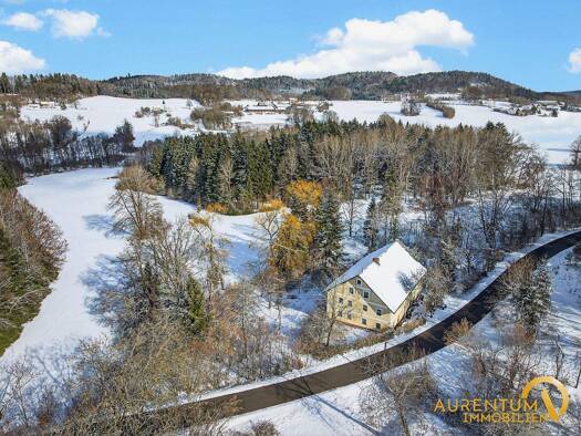 Mehrfamilienhaus zum Kauf 7 Zimmer 160 m² 3.725 m² Grundstück Steinshofen Zell 93199