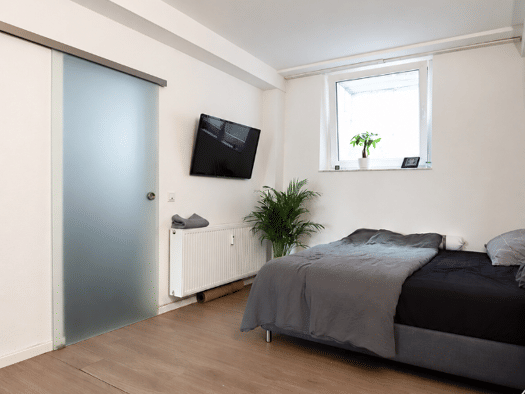 Wohnung zur Miete 700 € 1 Zimmer 64 m² Olewig Trier 54296