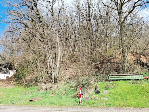 Grundstück zum Kauf 109.000 € 3.800 m² Grundstück frei ab sofort Im Rohr 57 Reimsbach Beckingen 66701