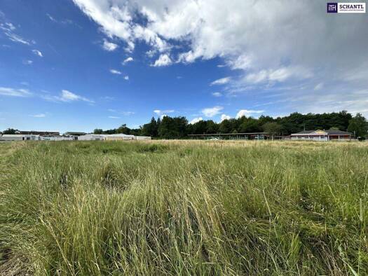 Grundstück zum Kauf 3.990.000 € 18.561 m² Grundstück Am Damm Premstätten 8141