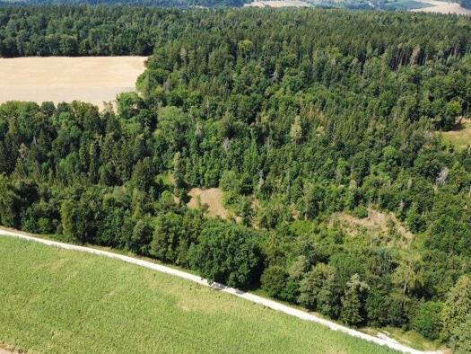 Forstwirtschaft zum Kauf 275.000 € 61.280 m² Grundstück Hirschberg Beilngries / Hirschberg 92339