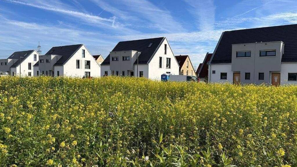 Bezug Ende 2025 ! Doppelhaushälfte mit 414m² Grundstück !