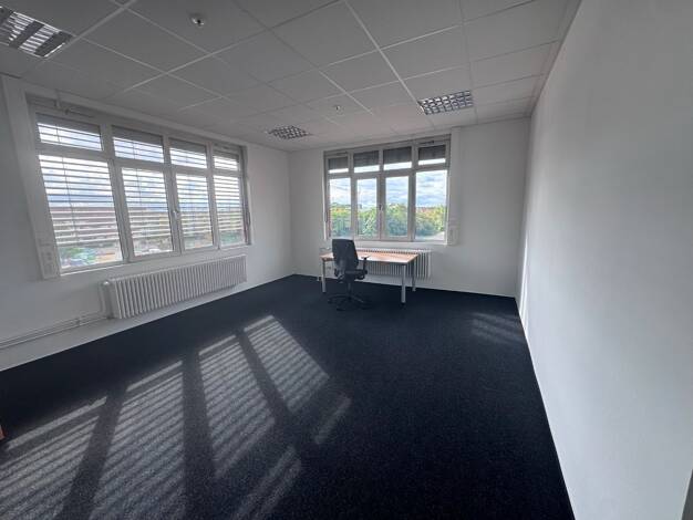 Bürofläche zur Miete provisionsfrei 1.230 € 189 m² Bürofläche Carl-Reuther-Straße Waldhof Waldhof 68305