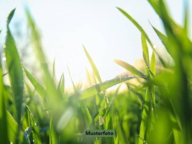 Land-/Forstwirtschaft zum Kauf 4.600 € 2.085 m² Grundstück Gingharting Thurmansbang 94169