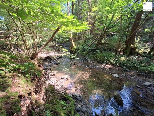 Grundstück zum Kauf 3.932 m² Grundstück Mondsee 5310