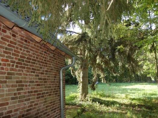 Einfamilienhaus zum Kauf als Kapitalanlage geeignet 109.000 € 5 Zimmer 120 m² 3.264 m² Grundstück Ausbau Weitenhagen Weitenhagen 18461