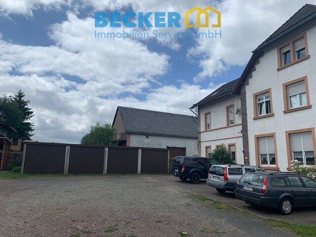 Mehrfamilienhaus zum Kauf 315.000 € 16 Zimmer 500 m²<br/>Wohnfläche 970 m²<br/>Grundstück Reichenbach Reichenbach 55776