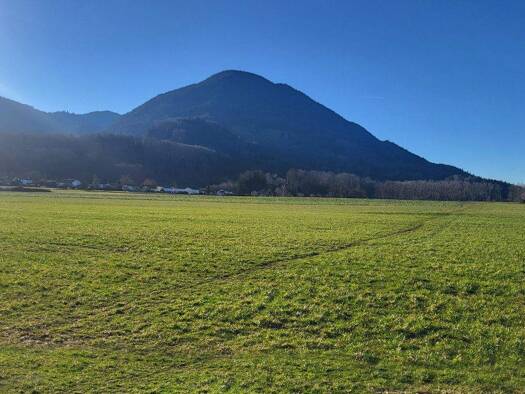 Grundstück zum Kauf 890.000 € 1.003 m² Grundstück Brannenburg 83098