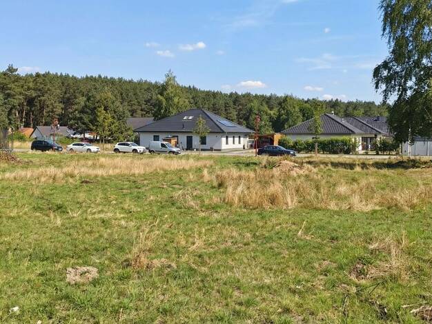 Grundstück zum Kauf provisionsfrei 89.500 € 446 m² Grundstück Reichenwalde Reichenwalde 15526