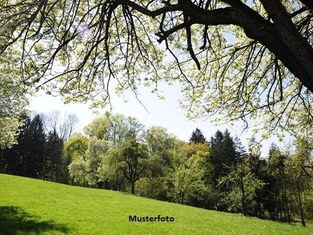 Land-/Forstwirtschaft zum Kauf 22.774 € 23.530 m² Grundstück Antweiler 53533