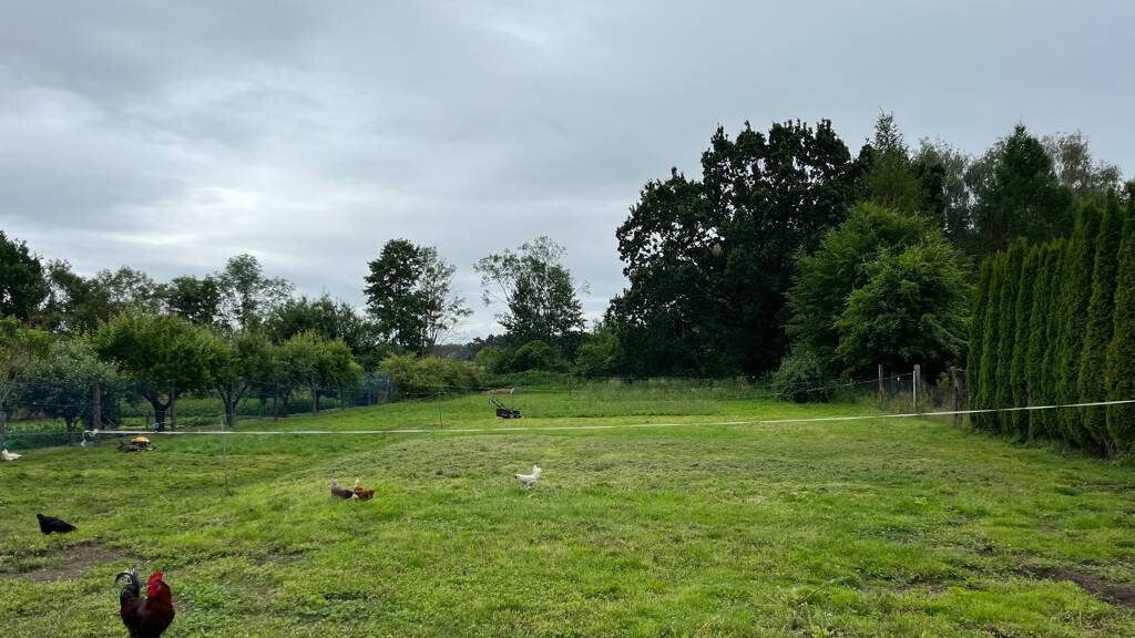 Grundstück zum Kauf 70.000 € 2.752 m² Grundstück Sandbeiendorf Burgstall 39517