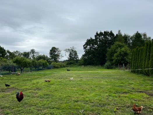 Grundstück zum Kauf 59.000 € 2.752 m² Grundstück Sandbeiendorf Burgstall 39517