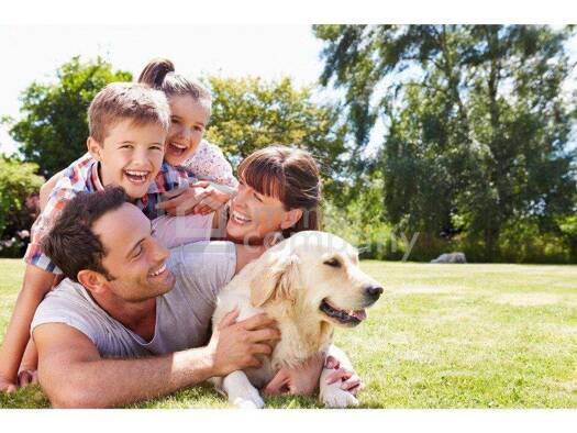 Grundstück zum Kauf 150.000 € 1.000 m² Grundstück Dillach 8072