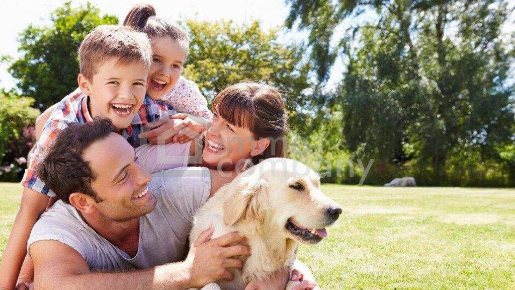 Grundstück zum Kauf 150.000 € 1.000 m² Grundstück Dillach 8072