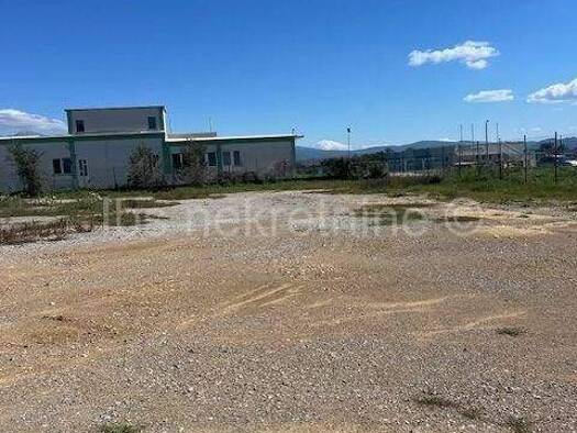 Land-/Forstwirtschaft zur Miete 1.000 € Sinj