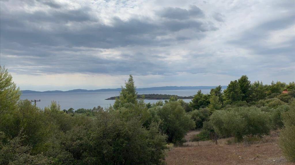 Land-/Forstwirtschaft zum Kauf 900.000 € 12.458 m² Grundstück Chalkidiki