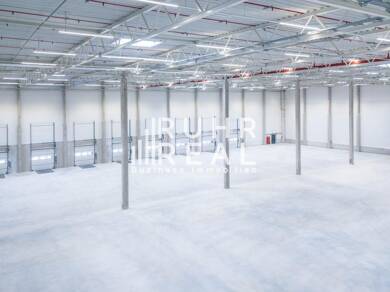 Halle/Industriefläche zur Miete - Neubau 8.228 m² Lagerfläche teilbar ab 8.228 m² Gremberghoven Köln 51149