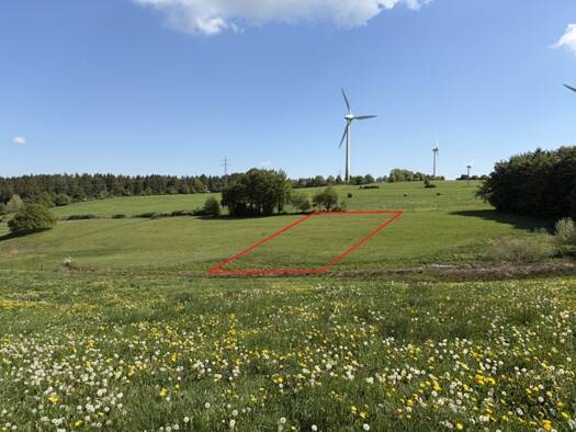 Land-/Forstwirtschaft zum Kauf 12.000 € 3.280 m² Grundstück Kesternich Simmerath 52152