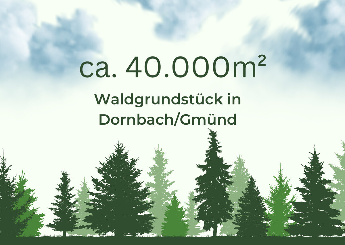 Land-/Forstwirtschaft zum Kauf 40.000 m²<br/>Grundstück Gmünd / Dornbach 9853