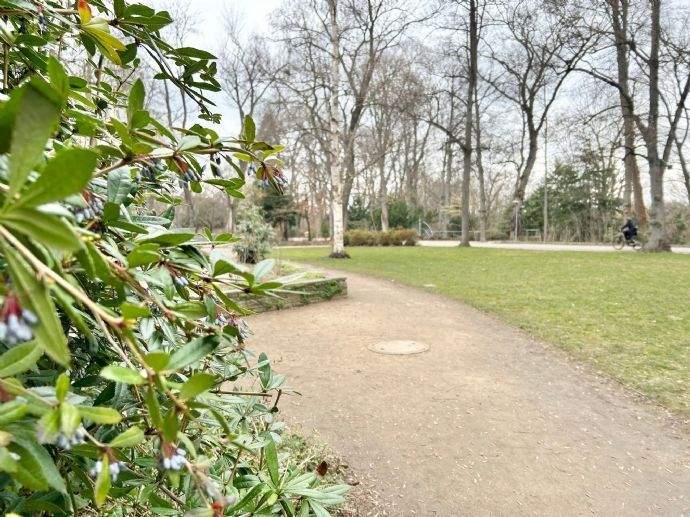 Property thumbnail 11