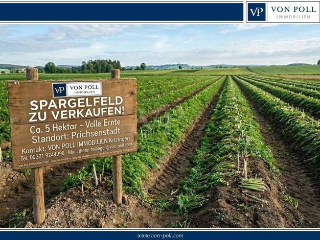 Land-/Forstwirtschaft zum Kauf 445.000 € 50.000 m² Grundstück Prichsenstadt 97357