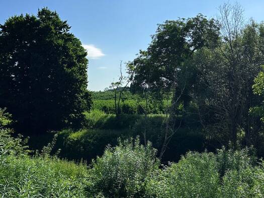 Grundstück zum Kauf 249.000 € 335 m² Grundstück Lochbrücke Meckenbeuren 88074
