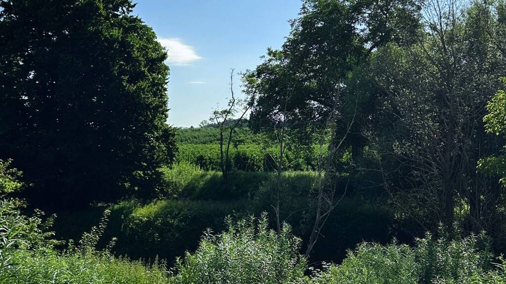 Grundstück zum Kauf 249.000 € 335 m² Grundstück Lochbrücke Meckenbeuren 88074