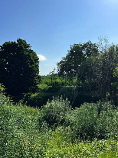 Grundstück zum Kauf 249.000 € 335 m² Grundstück Lochbrücke Meckenbeuren 88074